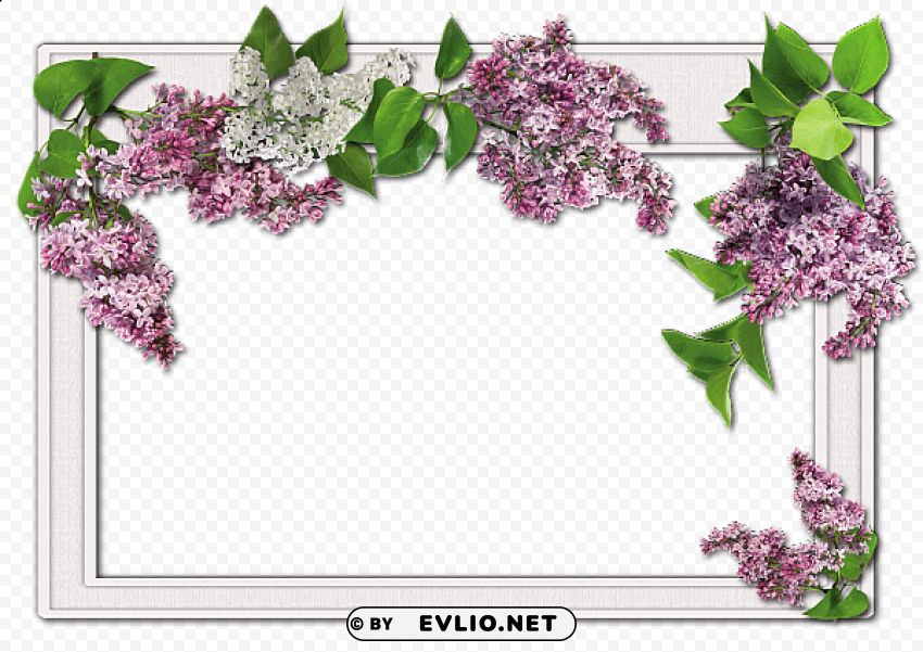 flowers frame 13 PNG images with no background comprehensive set