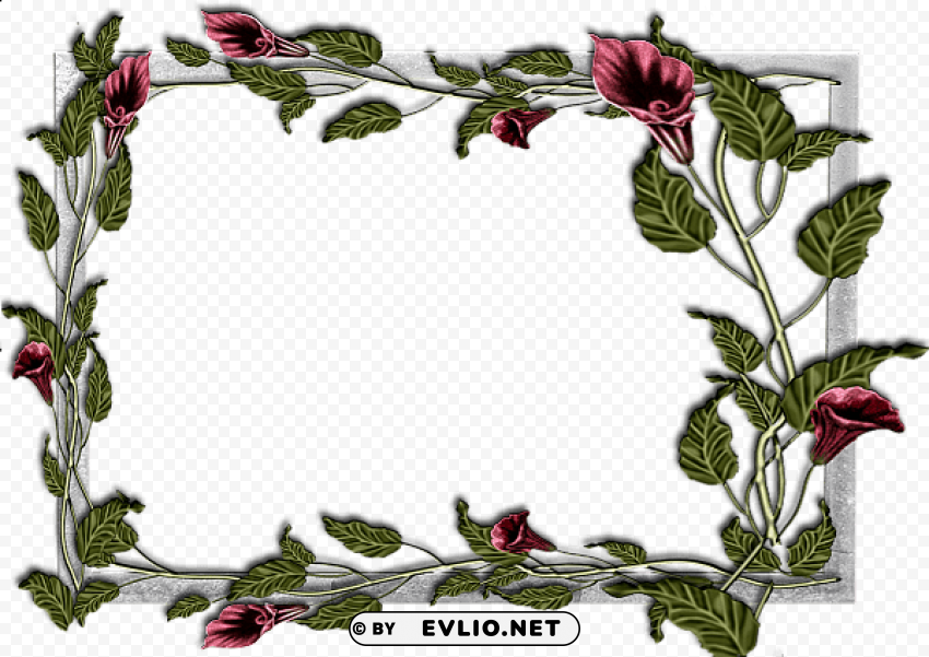 flowers frame 14 PNG images with transparent elements pack