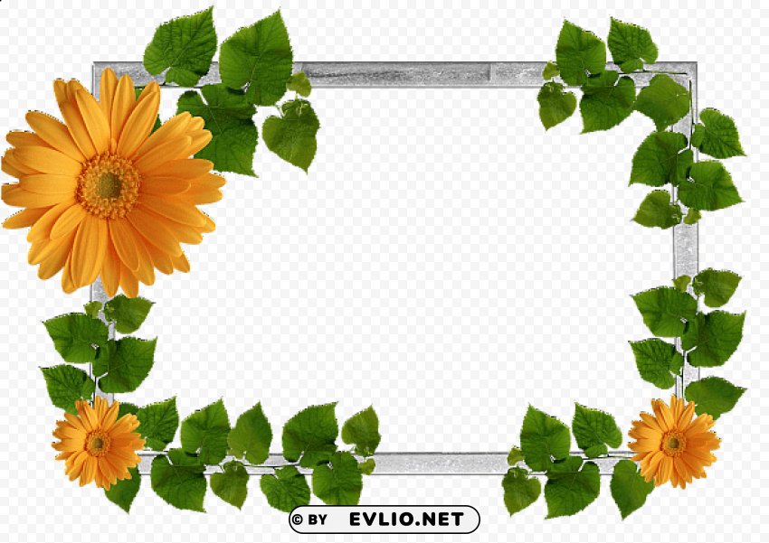 Flowers Frame 2 PNG Images With No Background Needed