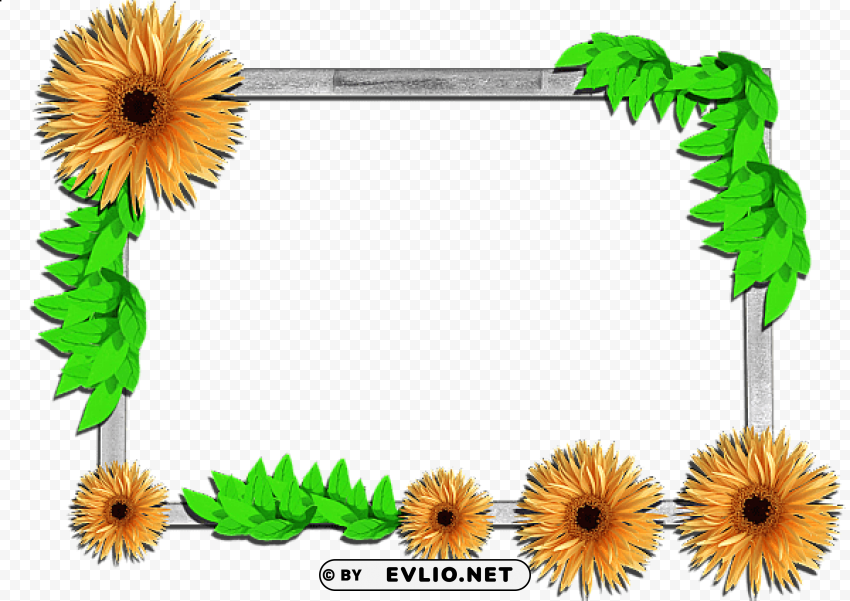 flowers frame 3 PNG images with no background necessary