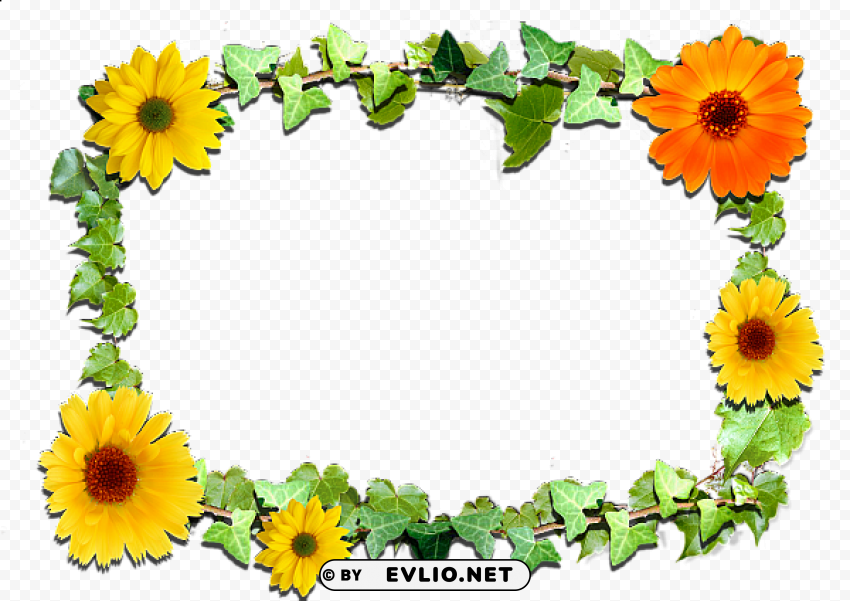 flowers frame 6 PNG images with no limitations