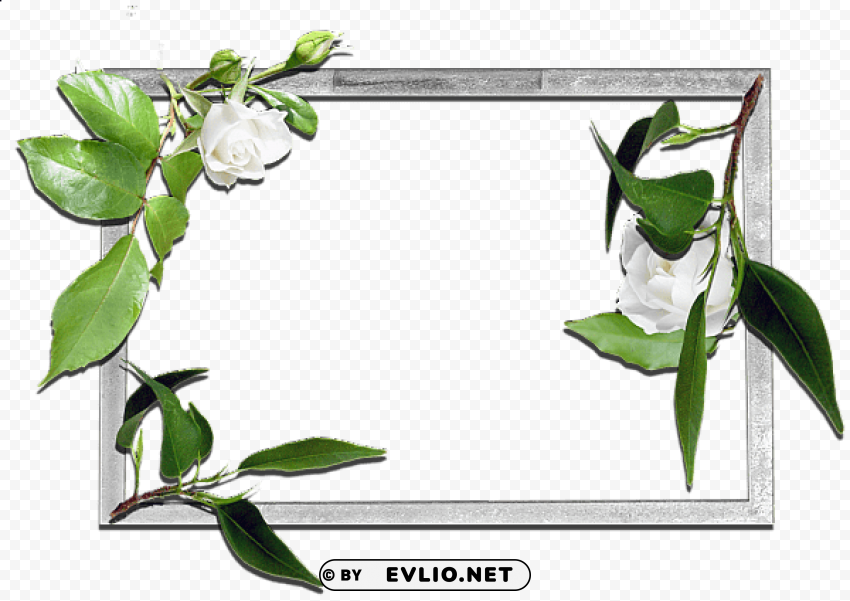 flowers frame 8 PNG images with no background essential