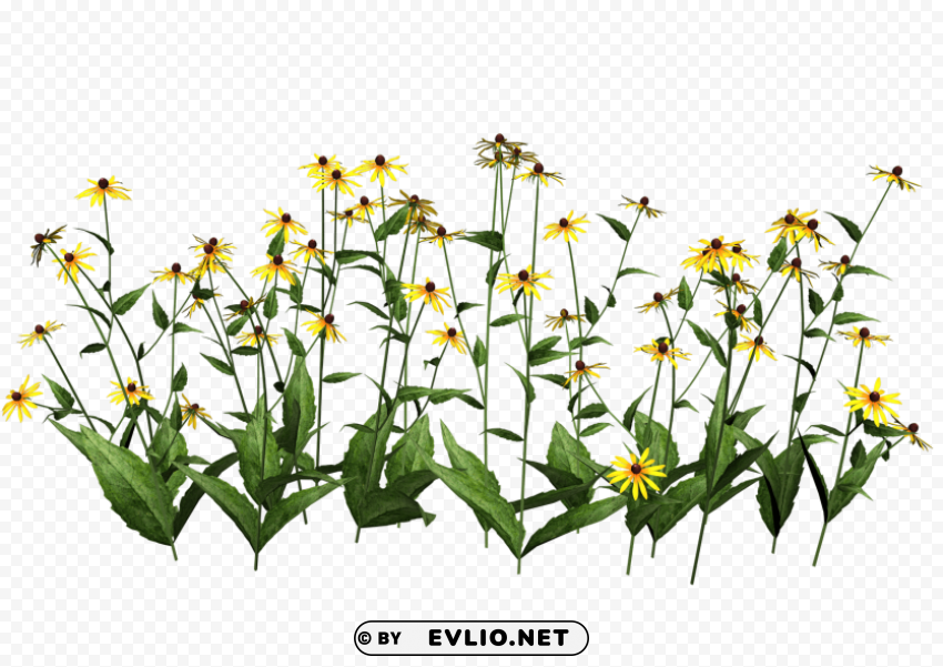 PNG image of plants transparent PNG file with alpha with a clear background - Image ID 6077f737