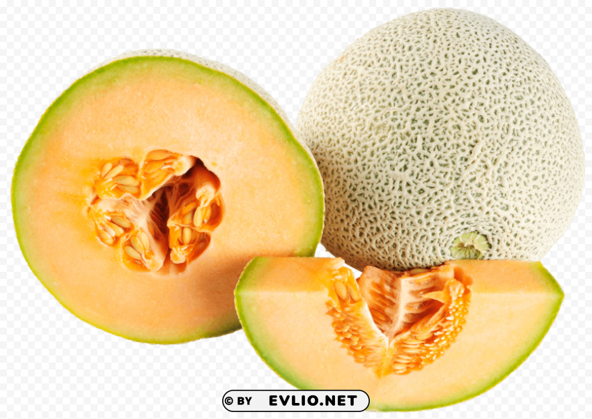 Ripe cantaloupe melon Isolated Artwork in HighResolution Transparent PNG