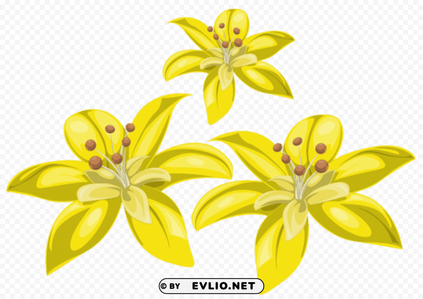 Three Yellow Flowers Transparent PNG Isolated Graphic Detail