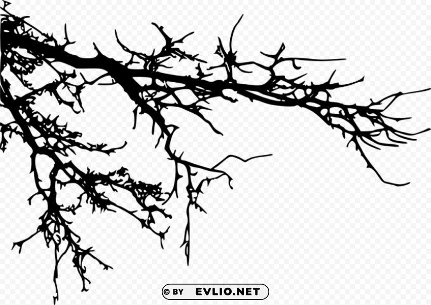 tree branches silhouette Images in PNG format with transparency