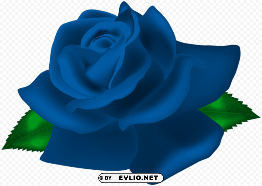 blue rose deco High-resolution transparent PNG images set