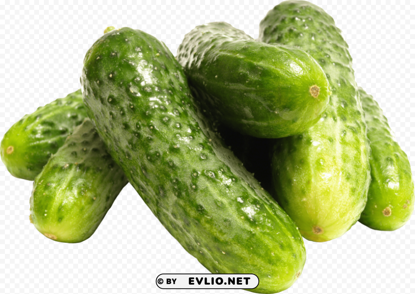 cucumber CleanCut Background Isolated PNG Graphic PNG images with transparent backgrounds - Image ID 4a89f1f0