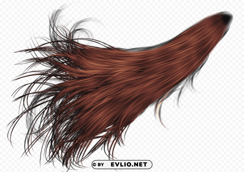 hair HighResolution PNG Isolated Illustration png - Free PNG Images ID 75795be1