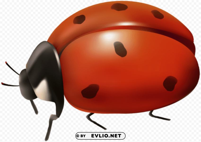 PNG image of ladybug Transparent PNG Isolation of Item with a clear background - Image ID 3d8dd135