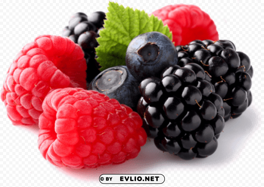 berries Isolated Design Element in Clear Transparent PNG