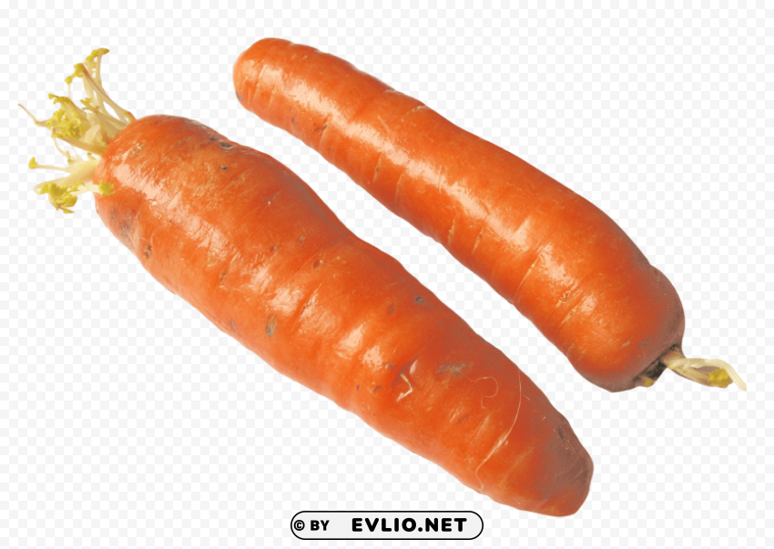 carrots half PNG files with alpha channel assortment