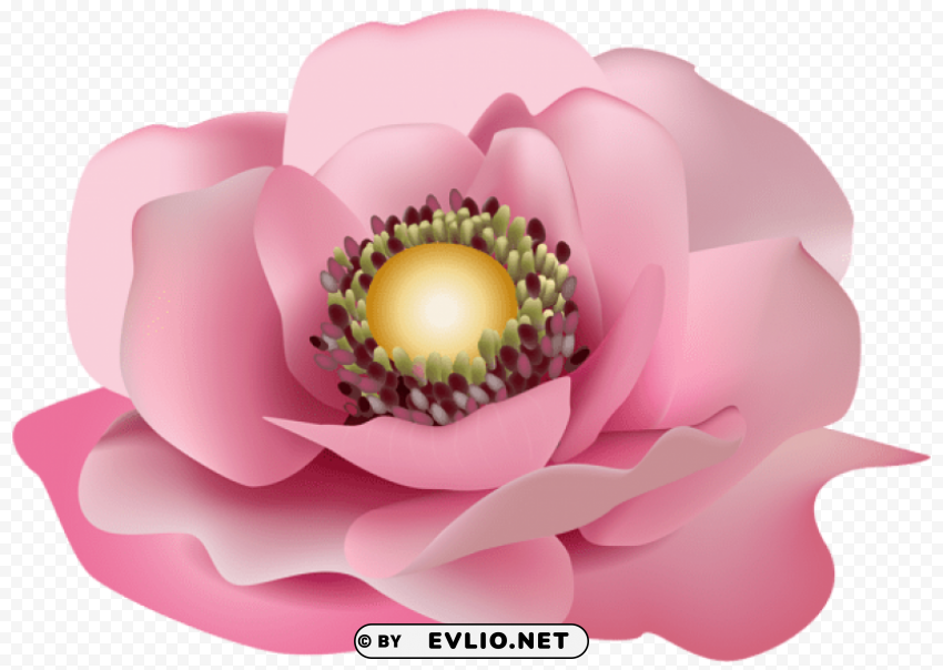 Flower Pink Transparent PNG Graphic With Isolated Transparency