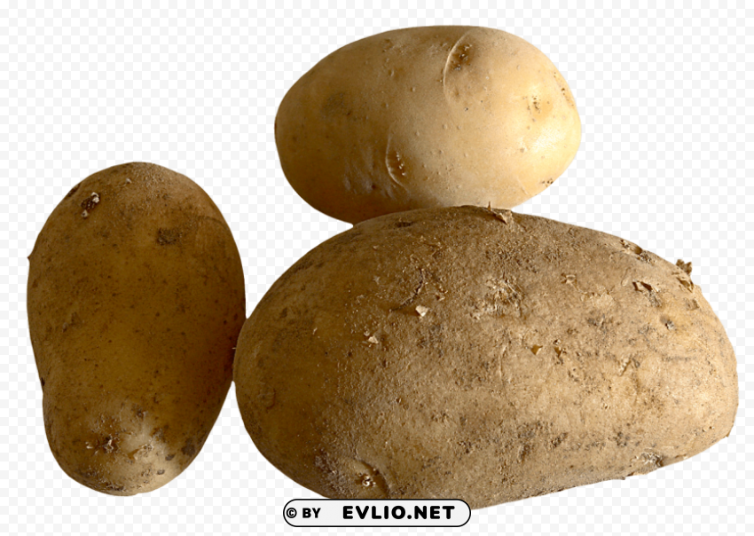 fresh potato Free PNG images with alpha channel compilation