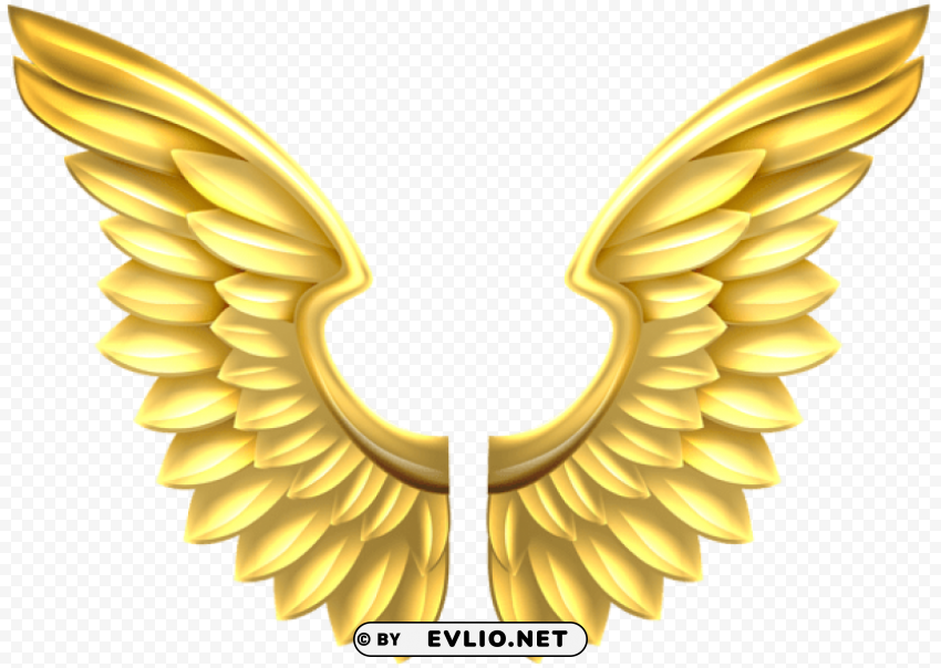 gold wings transparent Clear pics PNG