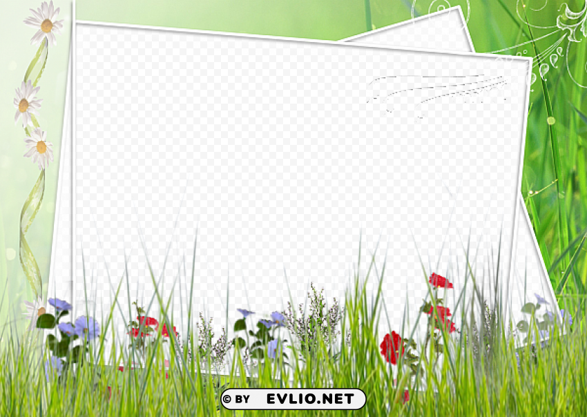 green and white transparent frame with field flowers PNG images with no background needed