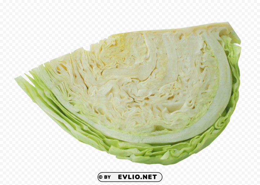 half cabbage Transparent PNG Isolated Graphic Detail