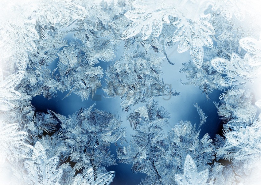 winter texture background Transparent PNG photos for projects