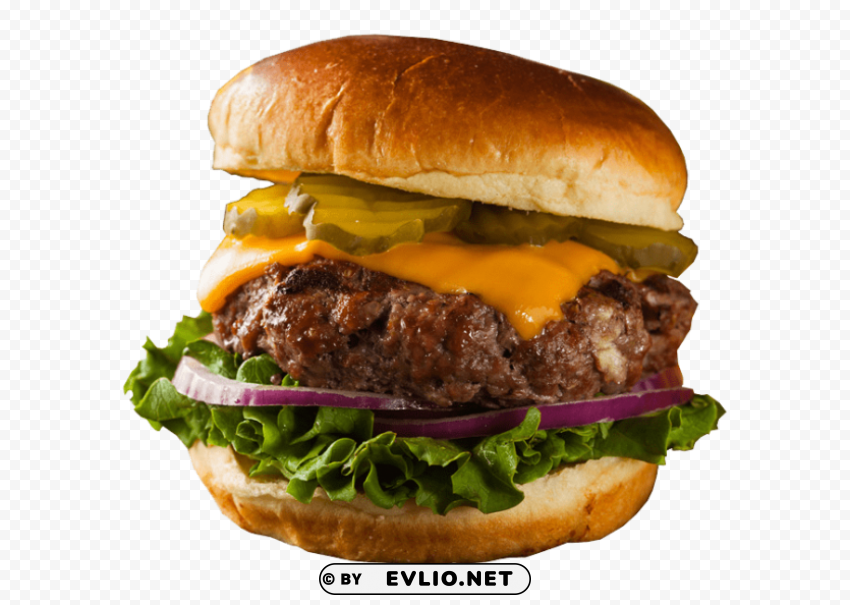 burger Isolated Object in HighQuality Transparent PNG