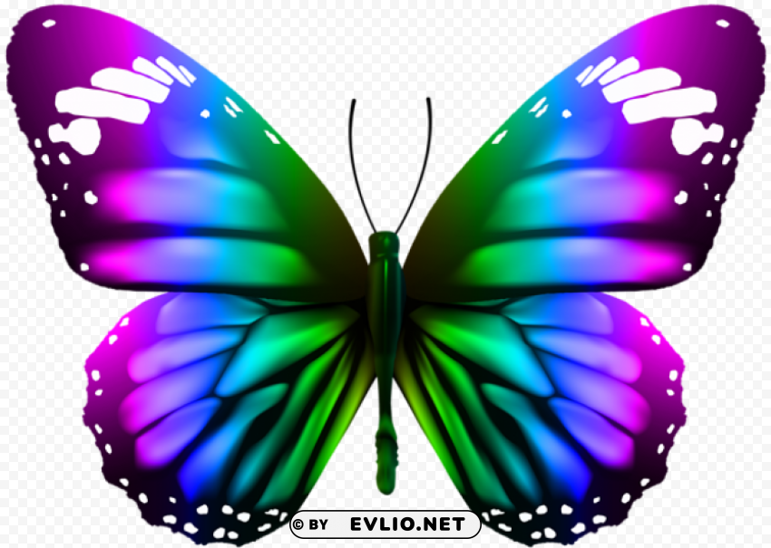 butterfly transparent PNG images with cutout clipart png photo - 9009fb36