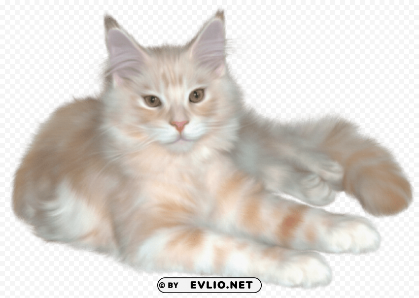 pretty cat Isolated Subject in Transparent PNG Format