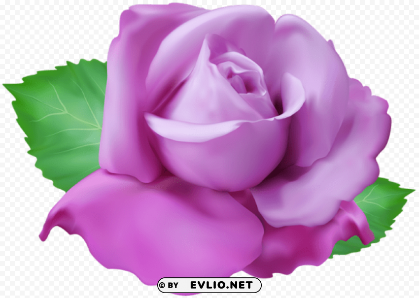 Purple Rose Isolated Character In Transparent PNG