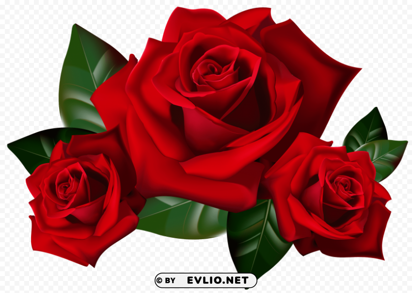 Rose Isolated Element With Transparent PNG Background