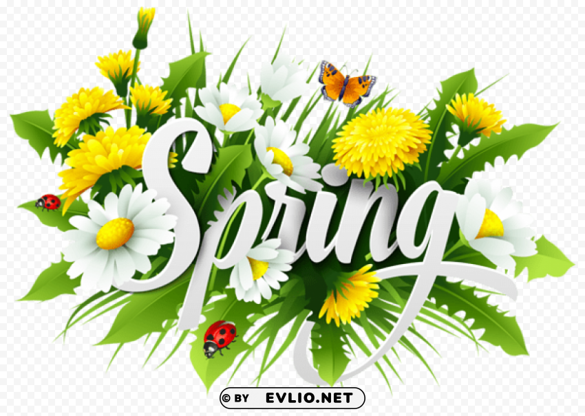 spring decorative PNG with clear background extensive compilation