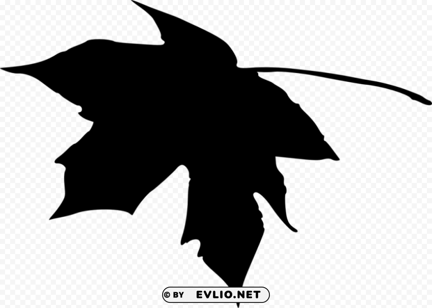 Leaf Silhouette Isolated Subject on HighQuality Transparent PNG
