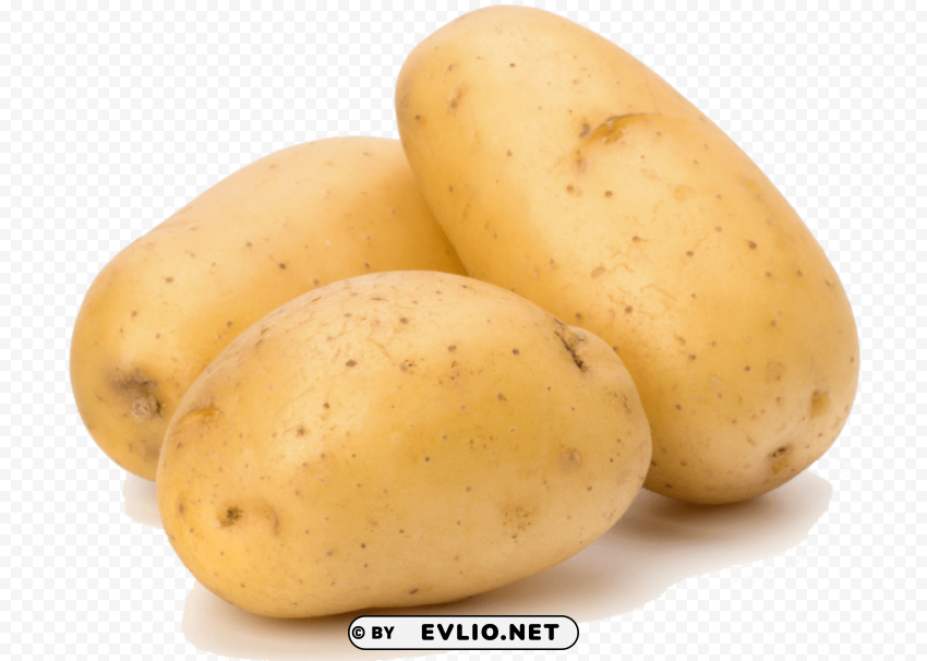 potato Free PNG images with transparency collection