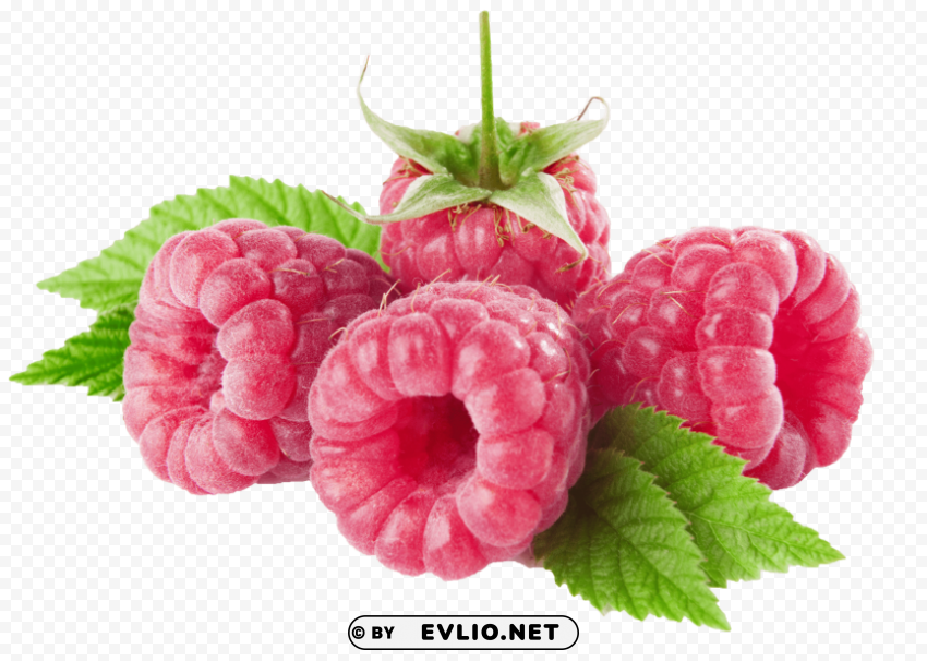 raspberries PNG transparent graphics for projects