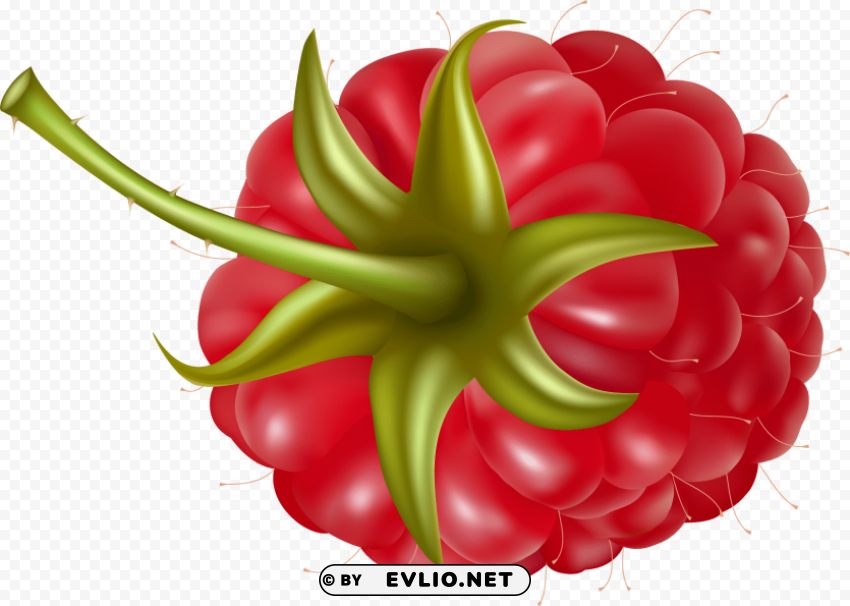 raspberry Free PNG images with alpha channel set clipart png photo - a8595c9b