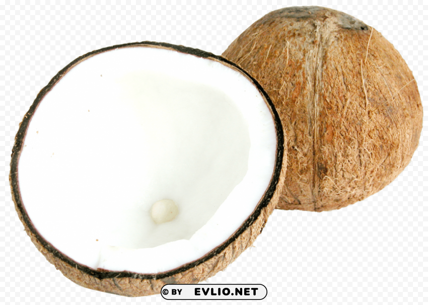 two half coconut PNG with cutout background