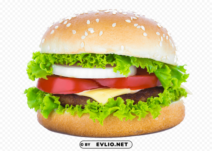 burger Isolated Item on Transparent PNG Format