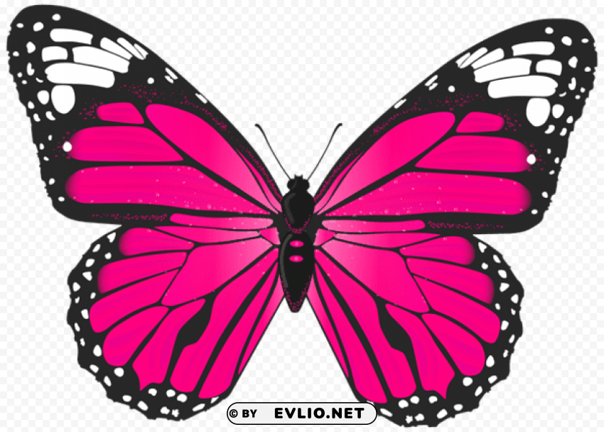 butterfly Isolated Item with Transparent Background PNG