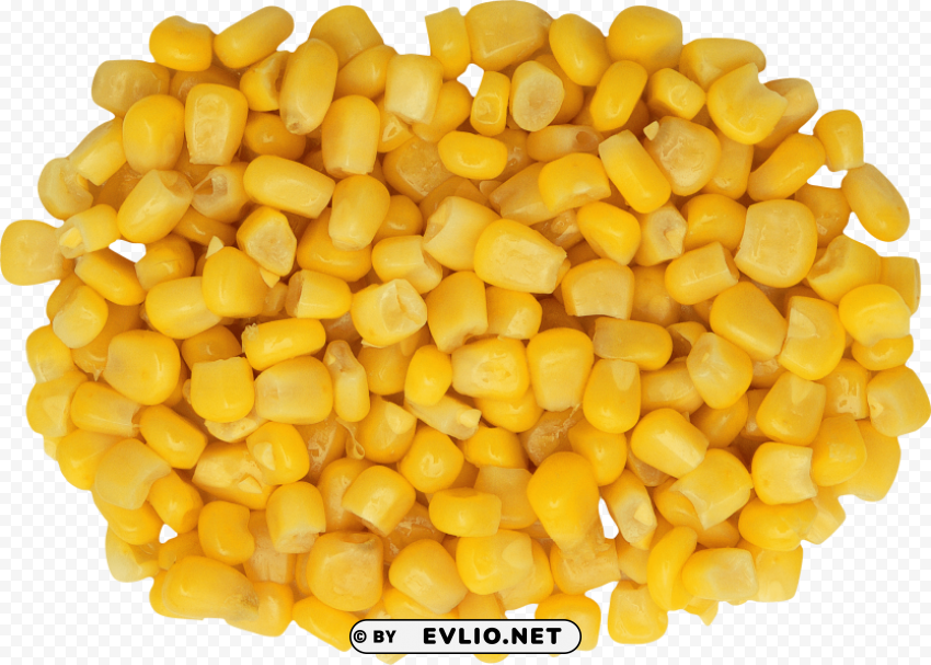 Corn PNG Images For Printing