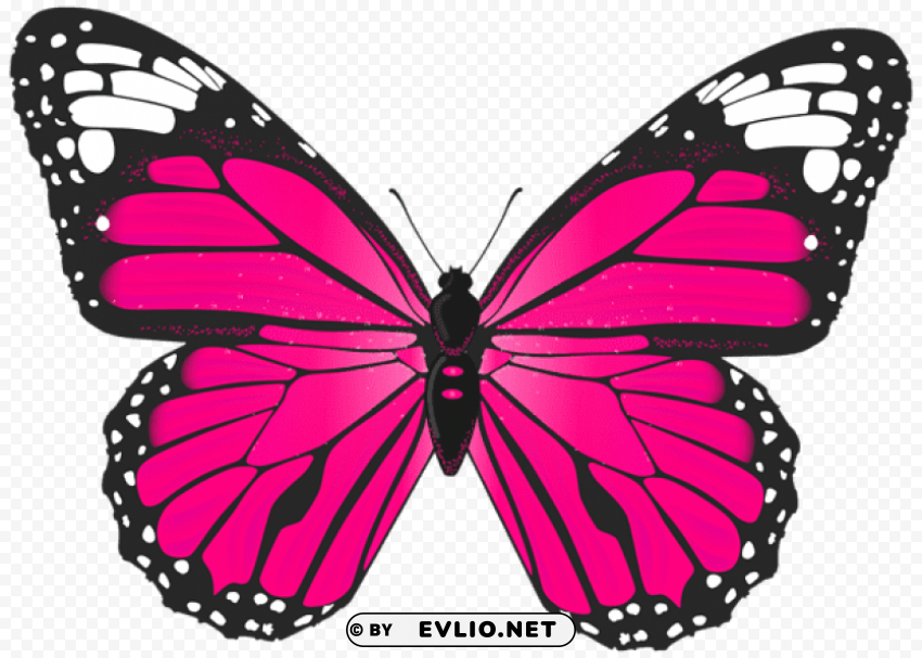 pink butterfly PNG images without restrictions