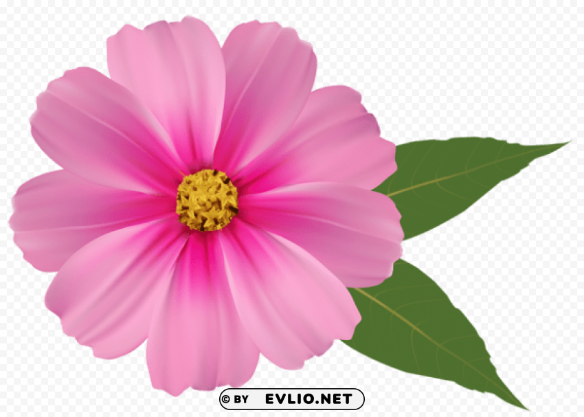 PNG image of pink flower PNG images with transparent overlay with a clear background - Image ID 9fda863d