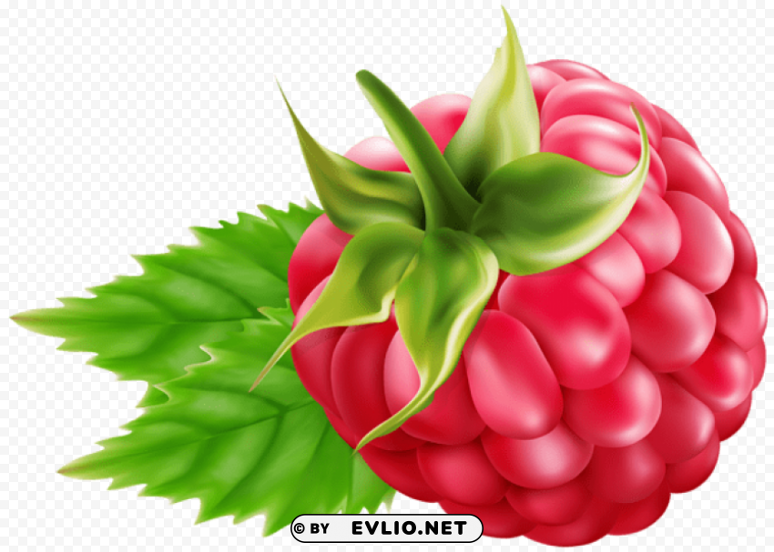 raspberry PNG images with transparent canvas