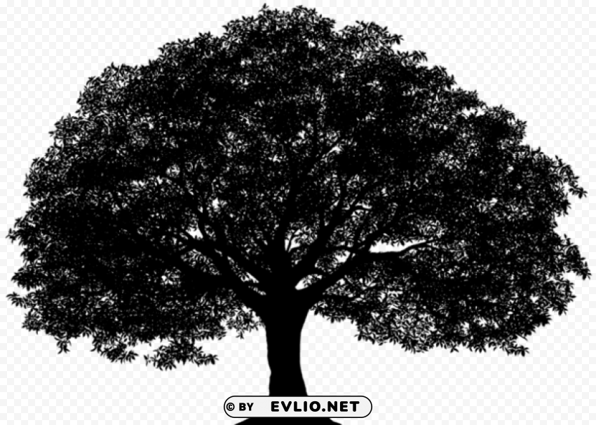 Transparent tree silhouette Isolated PNG Item in HighResolution PNG Image - ID 238c0fff