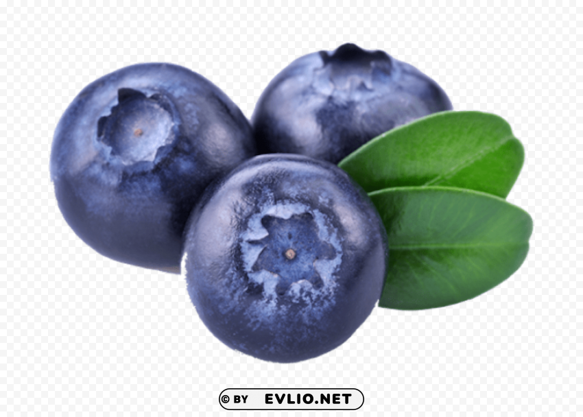 blueberries PNG Graphic with Isolated Transparency