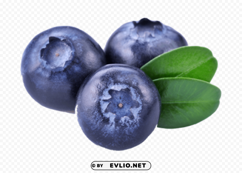 Blueberrys Transparent Background PNG Isolated Character