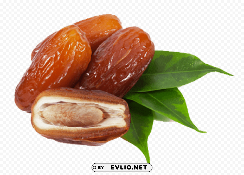 dates pic PNG files with transparent elements wide collection