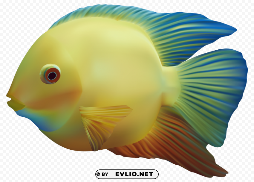 exotic fish Transparent Background Isolated PNG Design Element