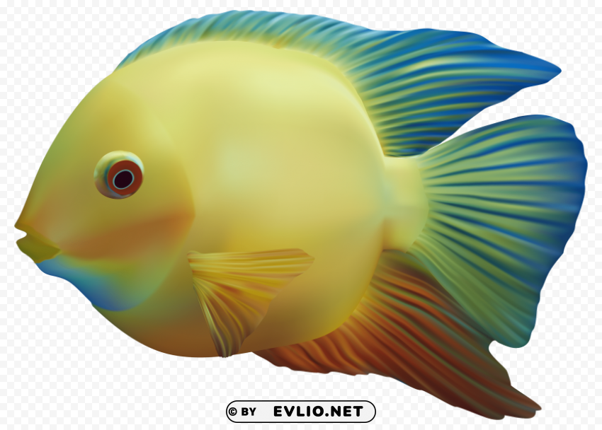 fish Isolated PNG Object with Clear Background