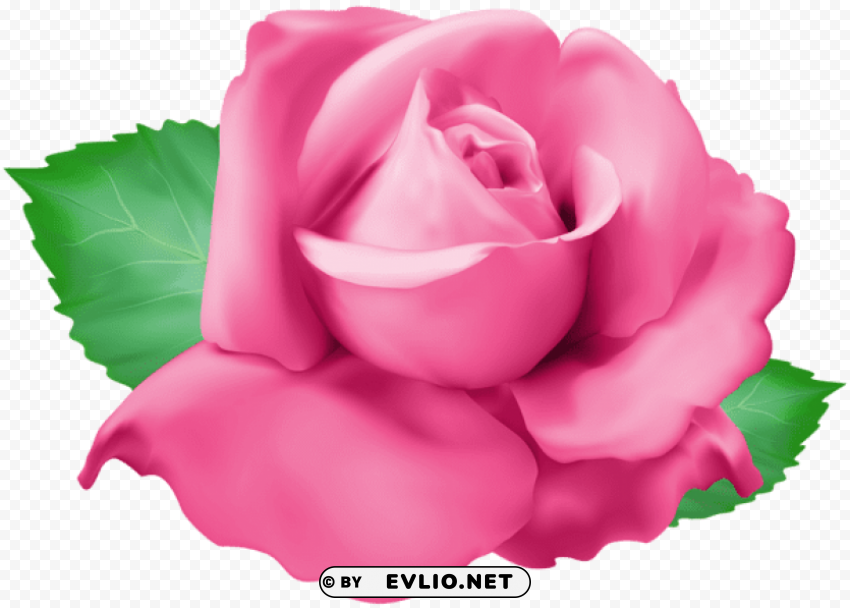 PNG image of pink rose Isolated Artwork on Transparent Background PNG with a clear background - Image ID 491d7170