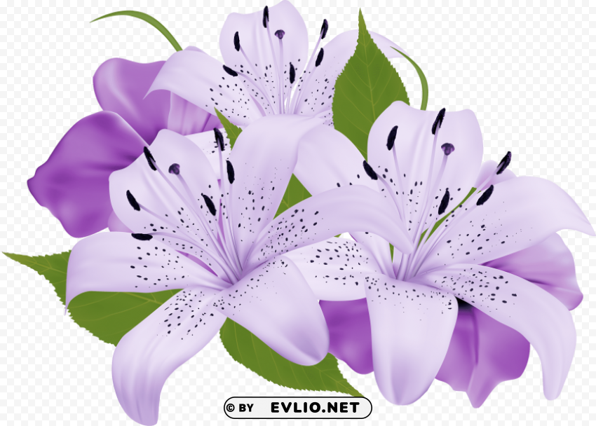 purple decorative flowers PNG transparent backgrounds