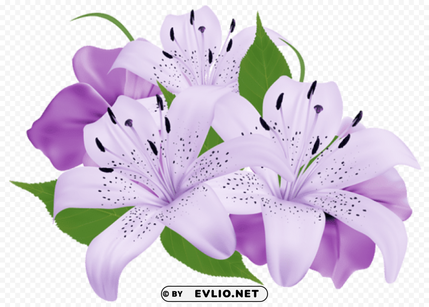 purple exotic flowers PNG with Isolated Object and Transparency