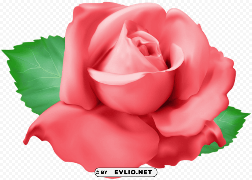 red rose Isolated Artwork on Clear Transparent PNG