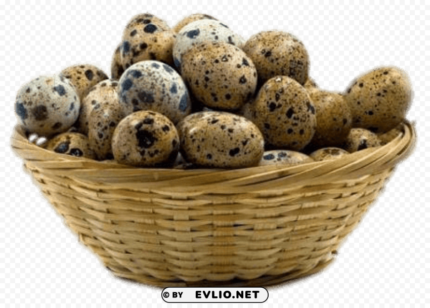 basket of quail eggs PNG images with transparent canvas comprehensive compilation